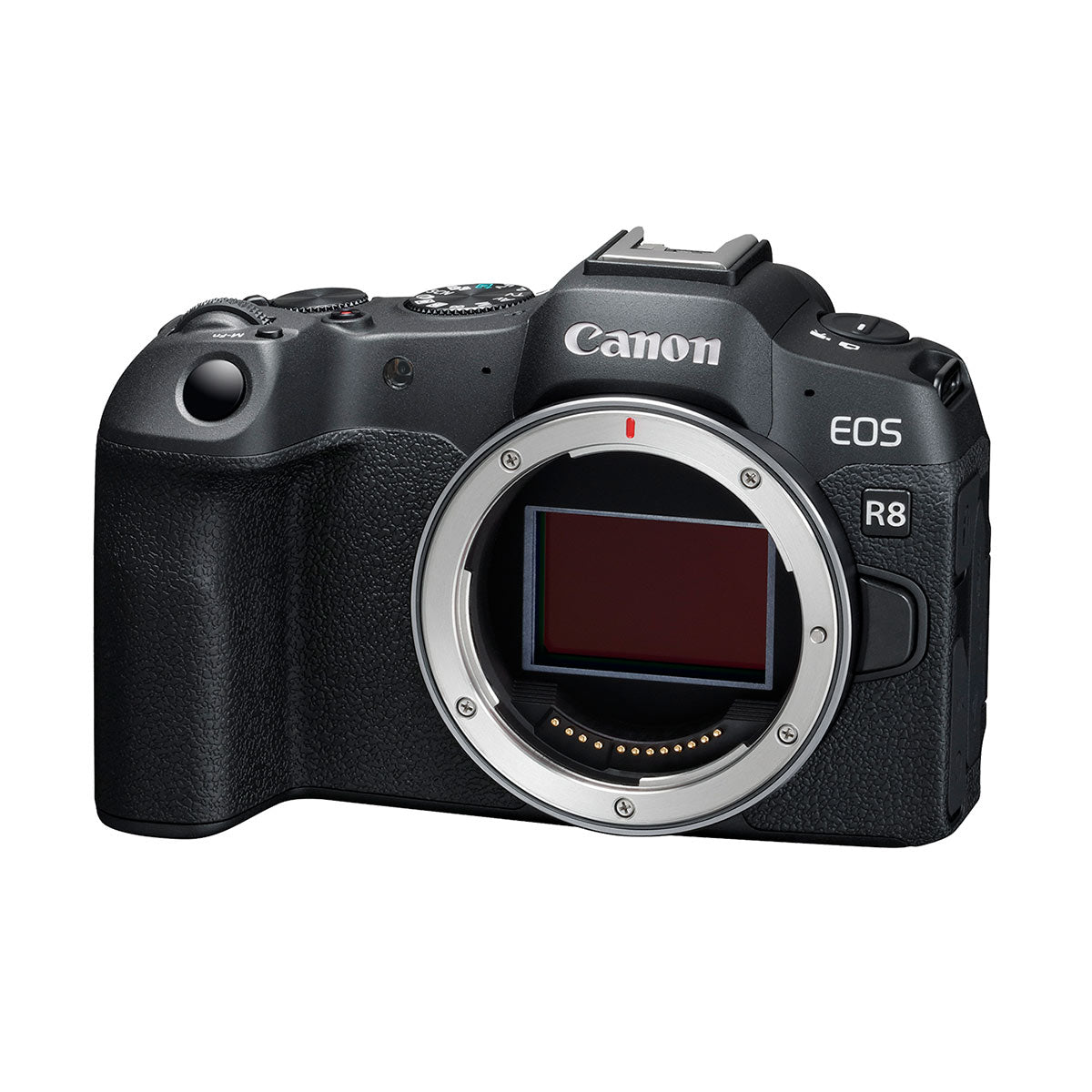 Canon EOS R8 Mirrorless Camera with RF 24-50mm f/4.5-6.3 IS STM Lens