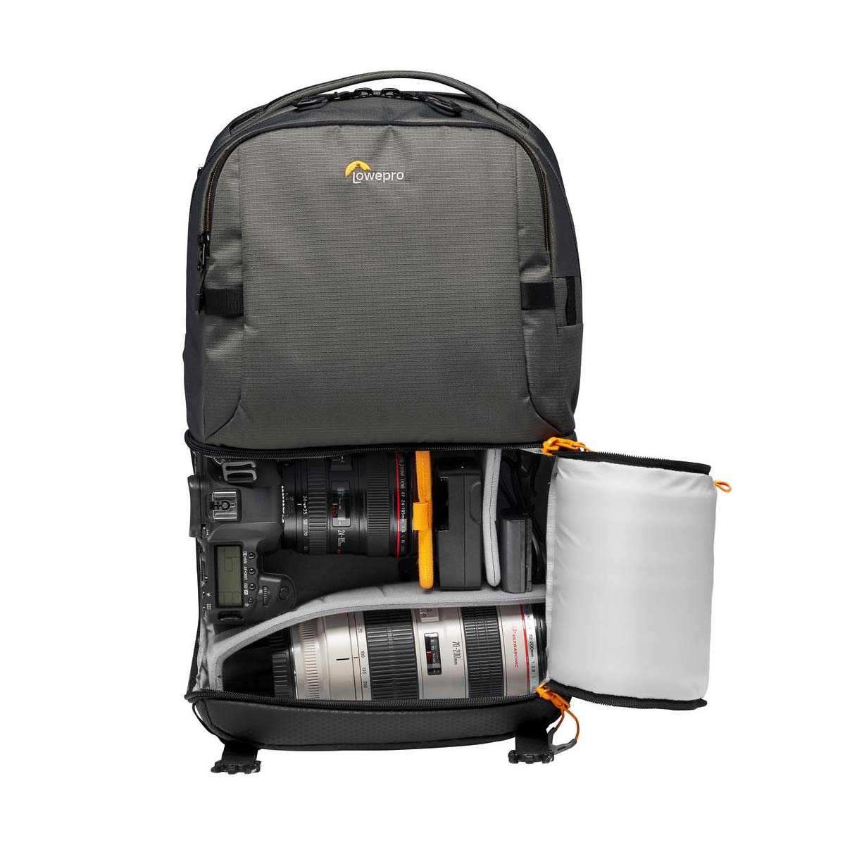 Lowepro Fastpack BP 250 AW III (Gray)