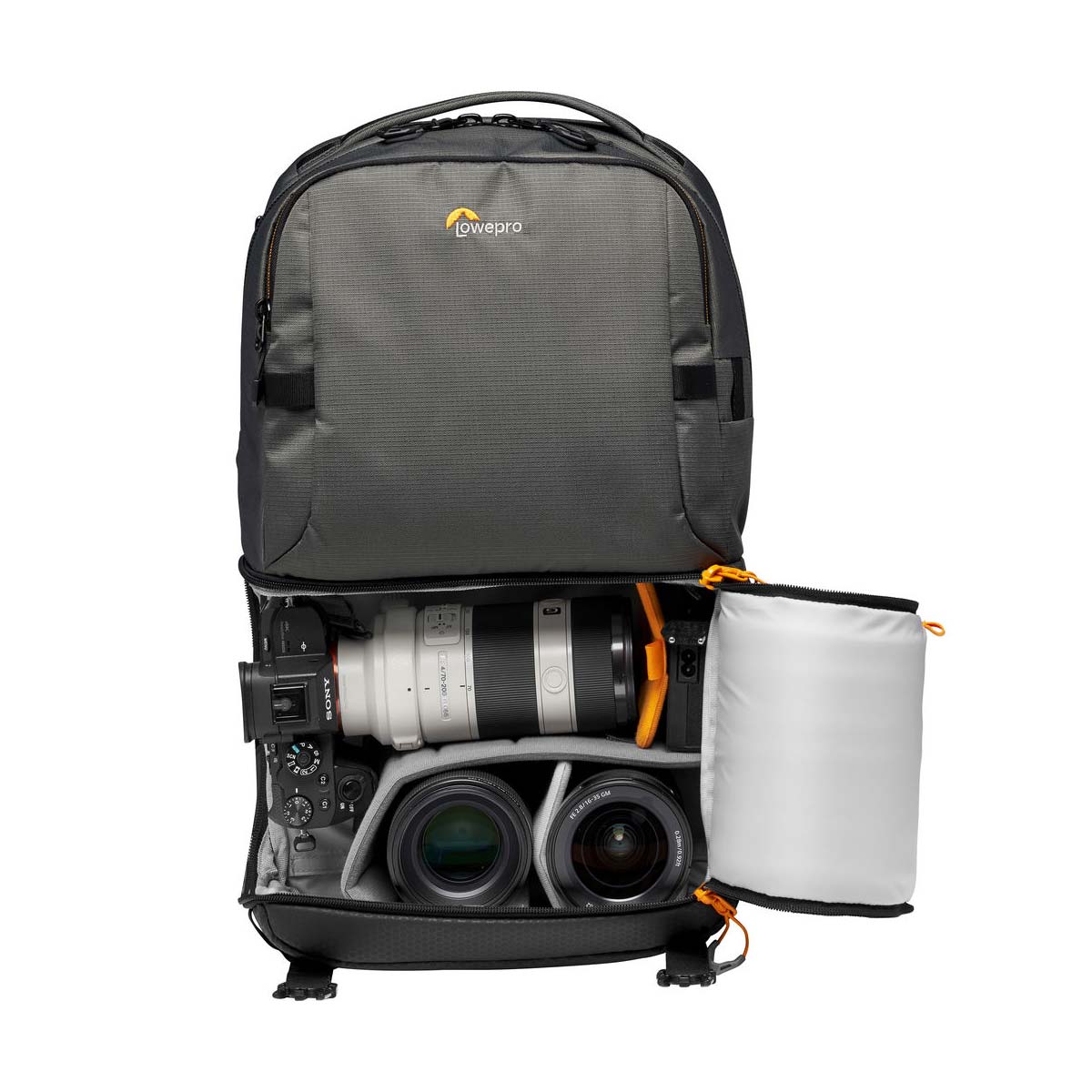 Lowepro Fastpack BP 250 AW III (Gray)