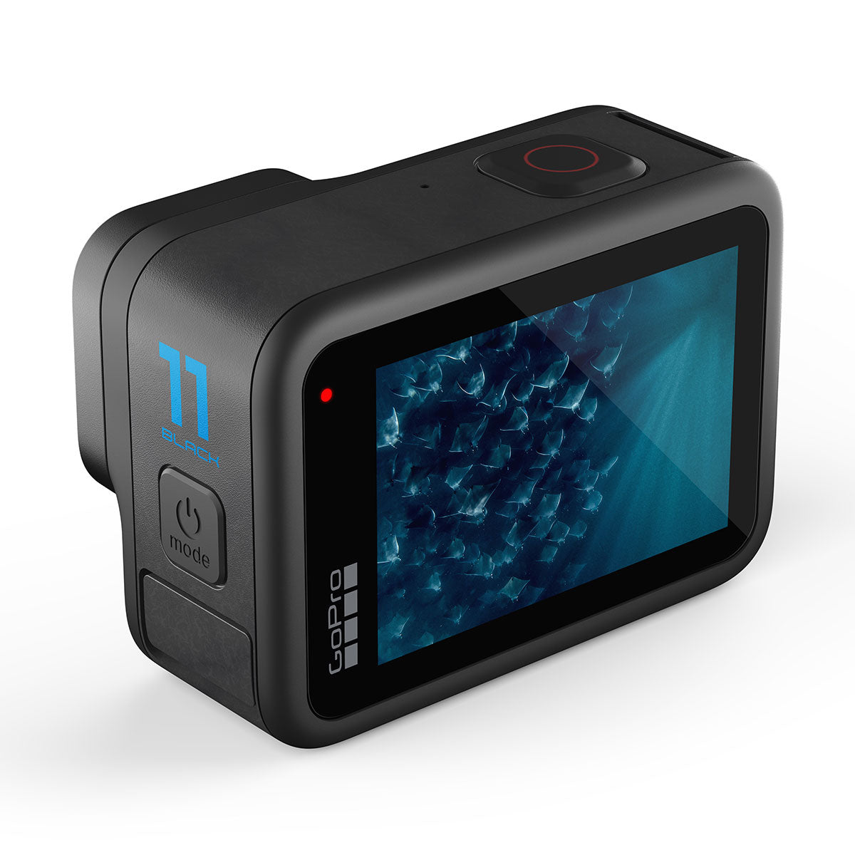 GoPro HERO11 Black Specialty Bundle