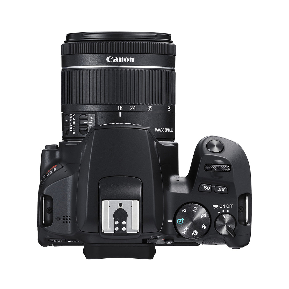 Canon EOS Rebel SL3 with EF-S 18-55mm STM Lens Kit (Black)