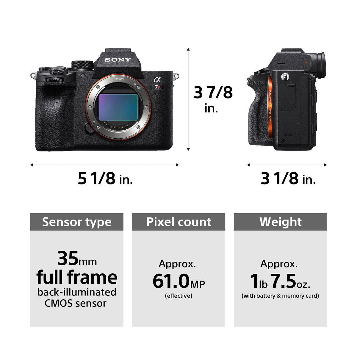 Sony Alpha a7R IV Digital Camera Body