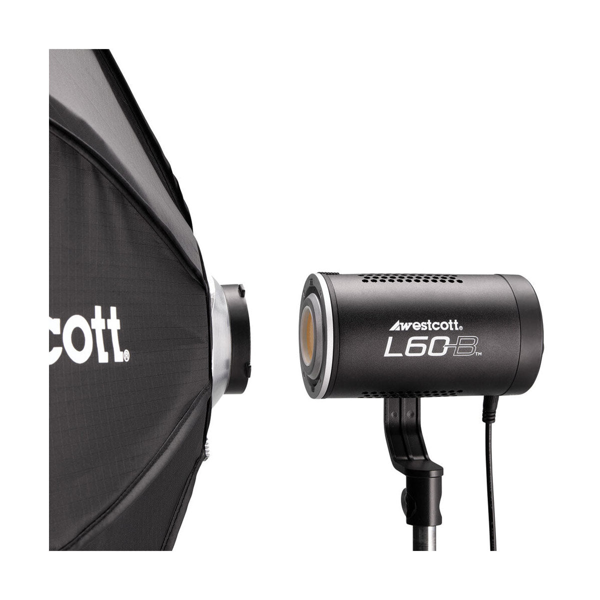 Westcott L60-B Bi-Color COB LED 1-Light Backpack Kit