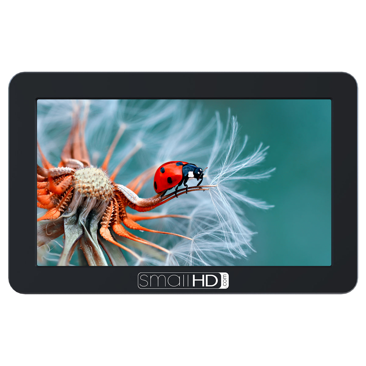 SmallHD FOCUS 5” Touchscreen with Panasonic BLF19 Bundle