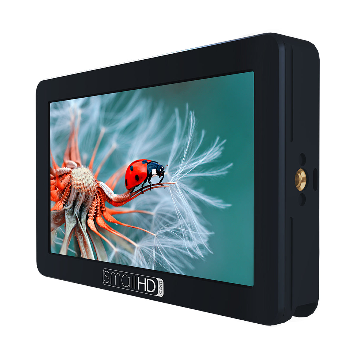 SmallHD FOCUS 5” Touchscreen with Panasonic BLF19 Bundle