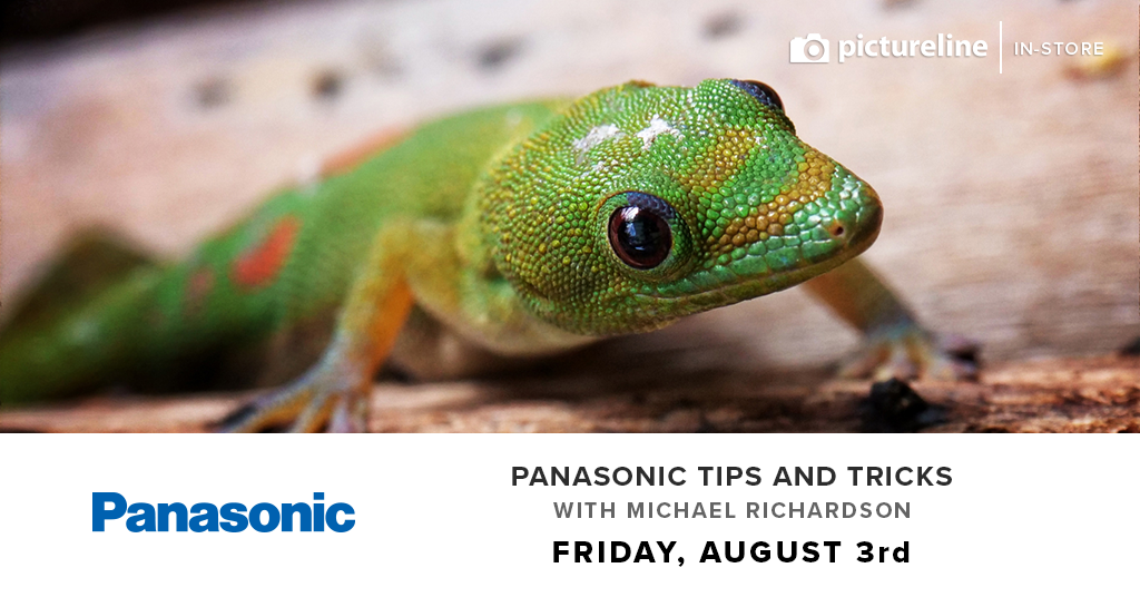 Panasonic Tips and Tricks with Michael Richardson (August 3rd, Friday)