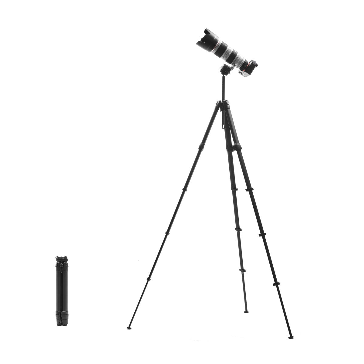 Peak Design Travel Tripod - Carbon