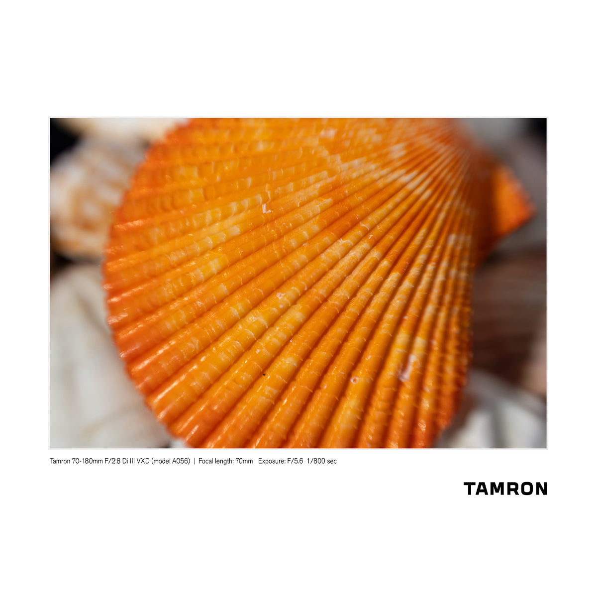 Tamron 70-180mm f/2.8 Di III VXD for Sony FE