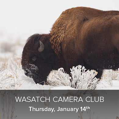Wasatch Camera Club - First 2016 Meeting (January 14th), events - past, Pictureline - Pictureline 
