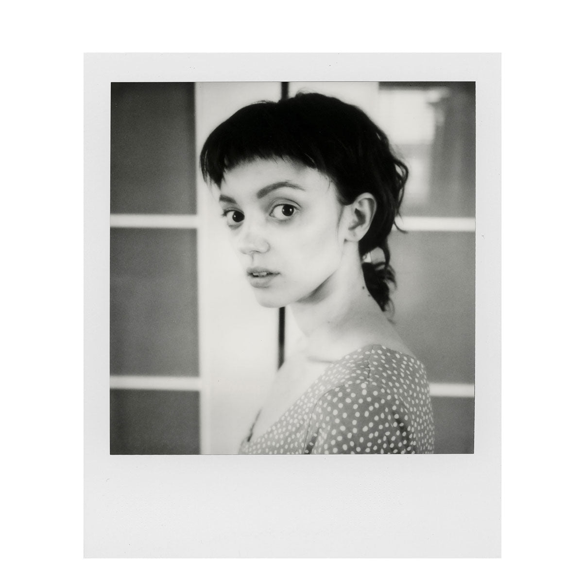 Polaroid B&W Film for Polaroid SX-70 Cameras (8)