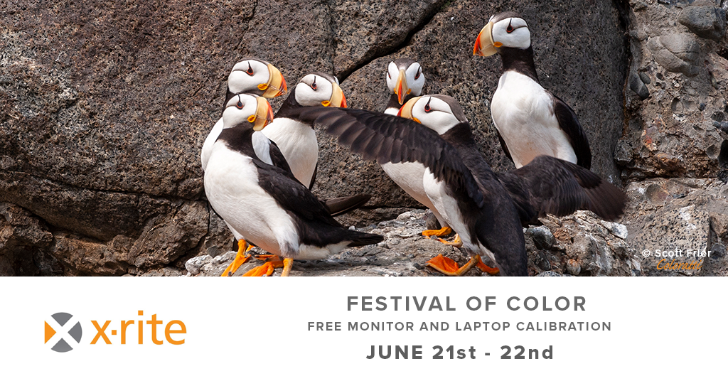 Festival of Color: Free Monitor and Laptop Calibration (June 21st-22nd, Thurs-Fri)