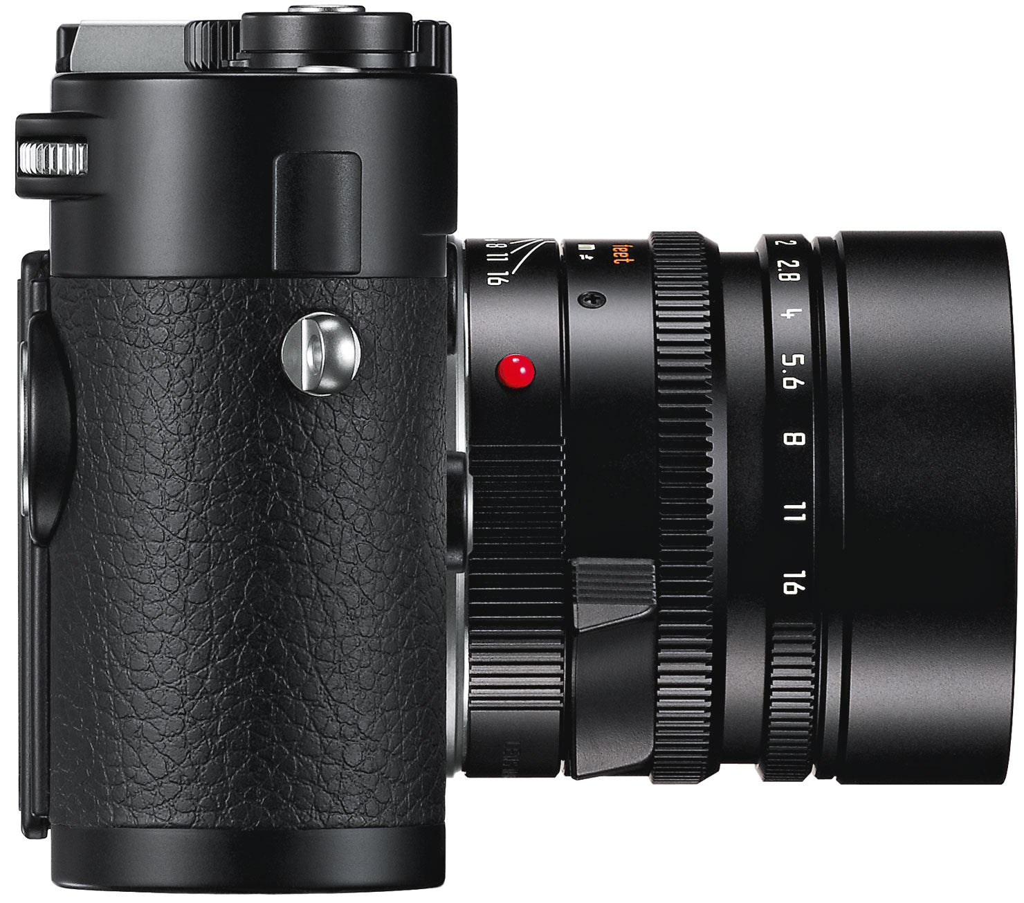 Leica M (Type 240) Digital Camera Black, camera mirrorless cameras, Leica - Pictureline  - 4