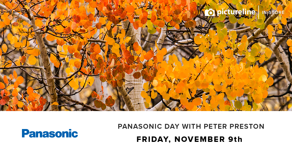 Panasonic Day (November 9th, Friday)