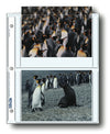 Print File 5X7 4 prints 25