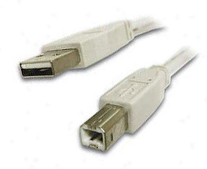 Universal USB Cable 6' Type A-B, computers cables & adapters, Universal Systems - Pictureline 